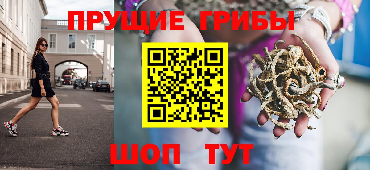 Псилоцибиновые грибы мицелий  Вход с VPN  цена   Ртищево 